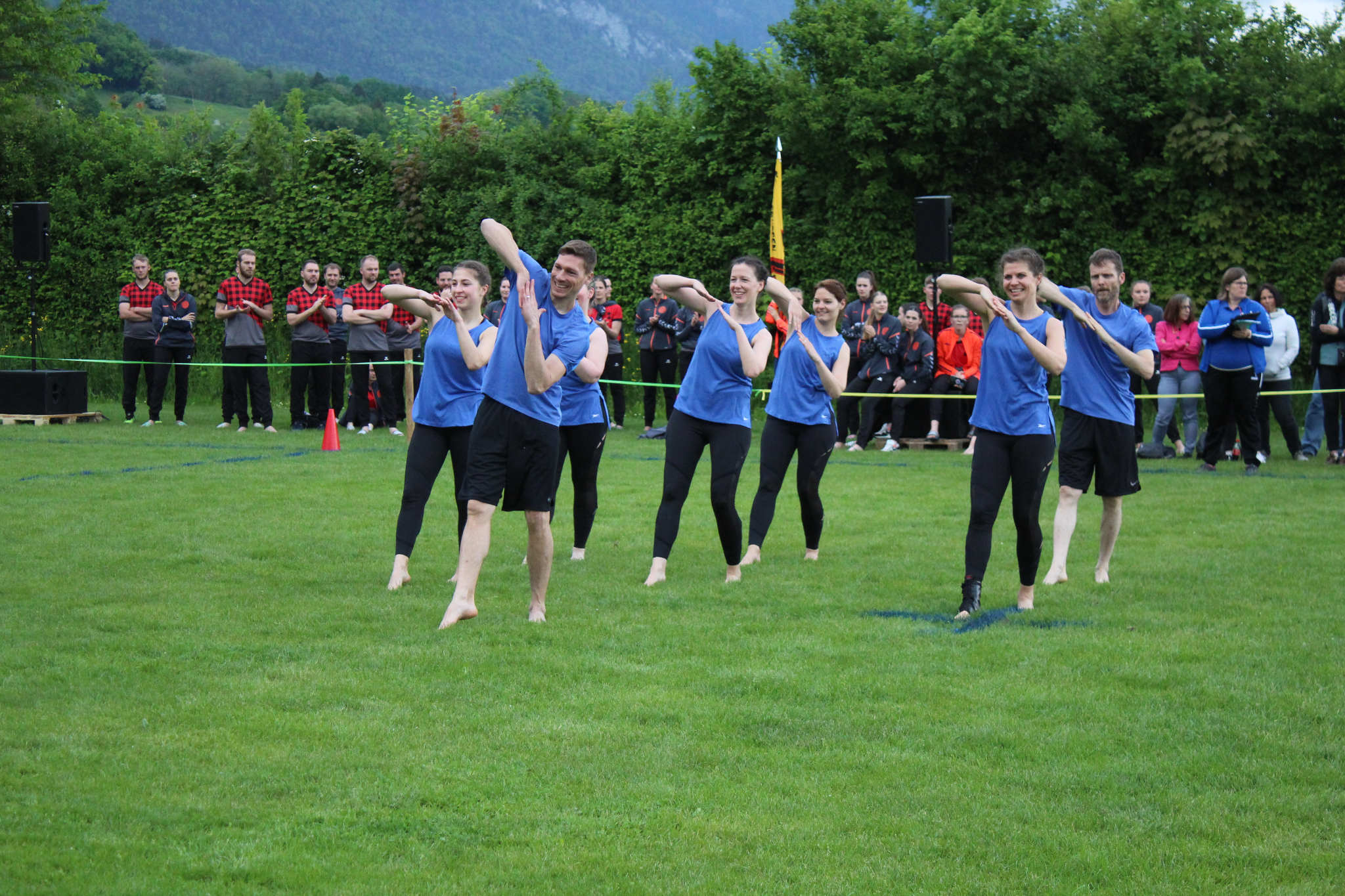 Bild (210)